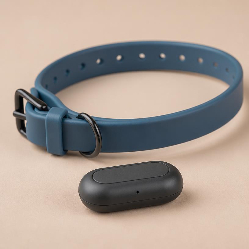 Weenect XS Cat GPS