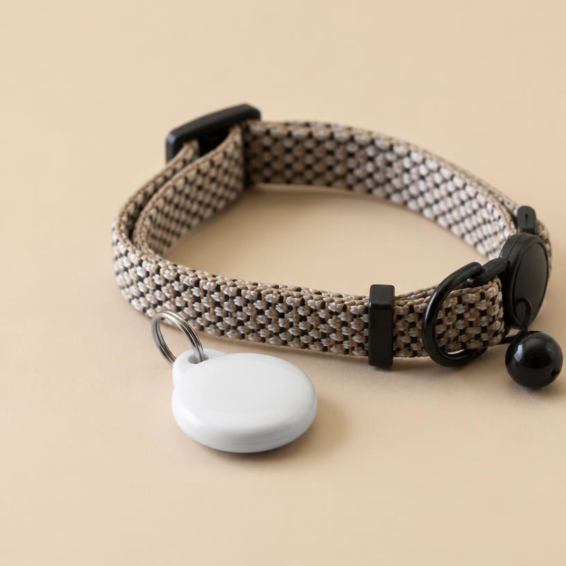 PETKIT Fit P2 Activity Tag
